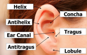 ear acupunture